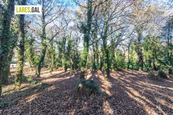 Terreno en calle Ximeu