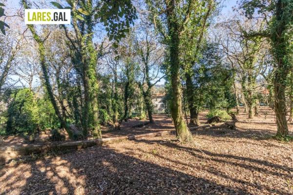 Terreno en calle Ximeu