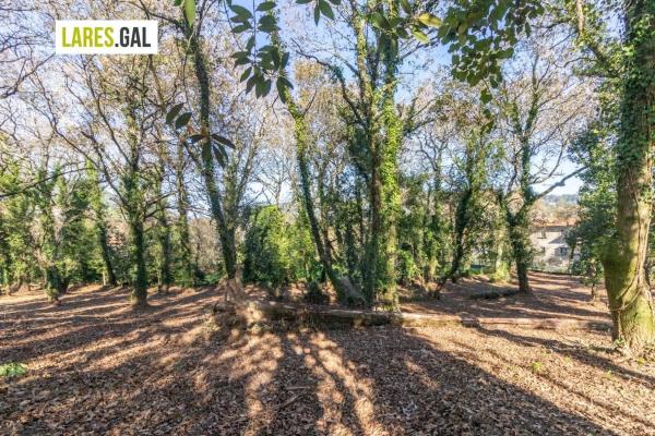 Terreno en calle Ximeu