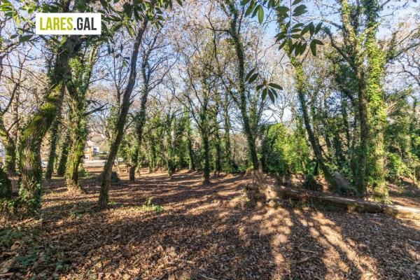 Terreno en calle Ximeu