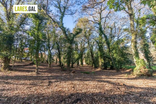 Terreno en calle Ximeu