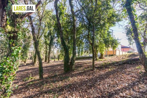 Terreno en calle Ximeu