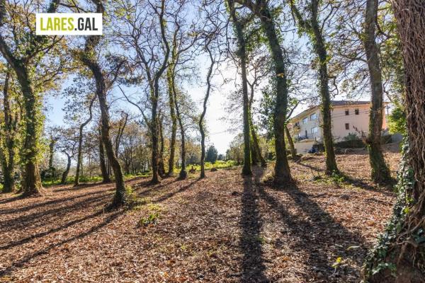 Terreno en calle Ximeu