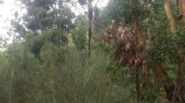 Terreno en Lugar Carballido s/n