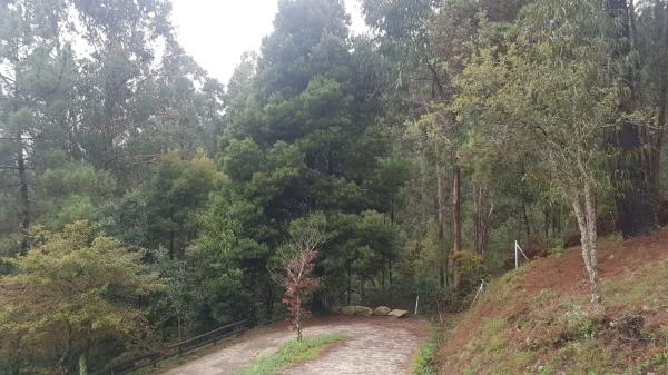 Terreno en Lugar Carballido s/n