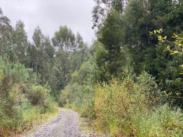 Terreno en Lugar Carballido s/n