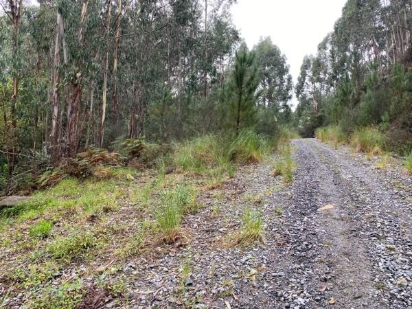 Terreno en Lugar Carballido s/n