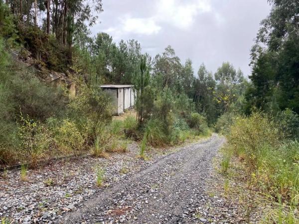 Terreno en Lugar Carballido s/n