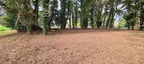 Terreno en Coiro