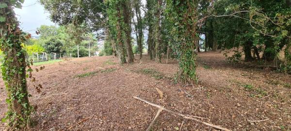 Terreno en Coiro