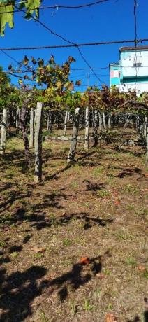 Terreno en loureiro, 30