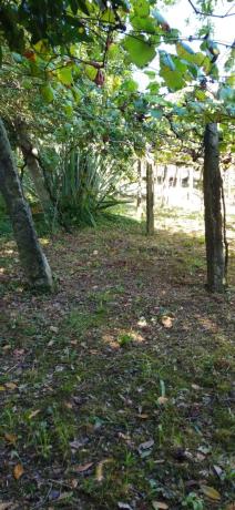 Terreno en loureiro, 30