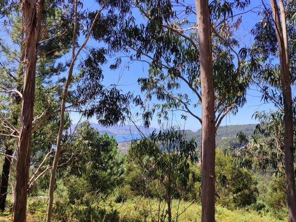 Terreno en Subida a San Lorenzo