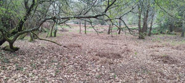 Terreno en O Hío