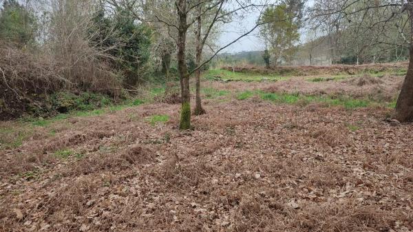 Terreno en O Hío