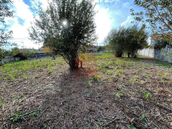 Terreno en Coiro