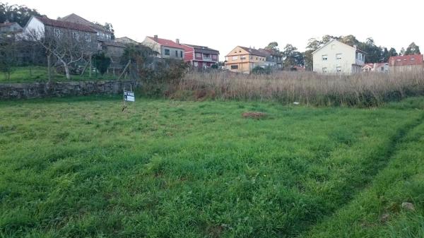 Terreno en camino limens, 11