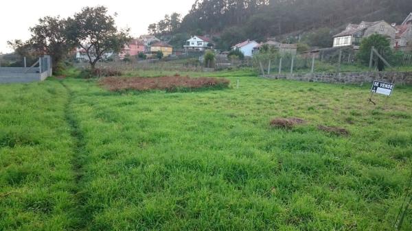 Terreno en camino limens, 11