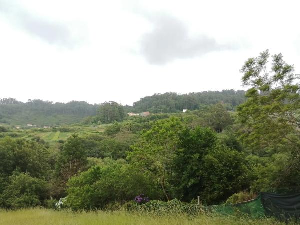 Terreno en Marin s/n