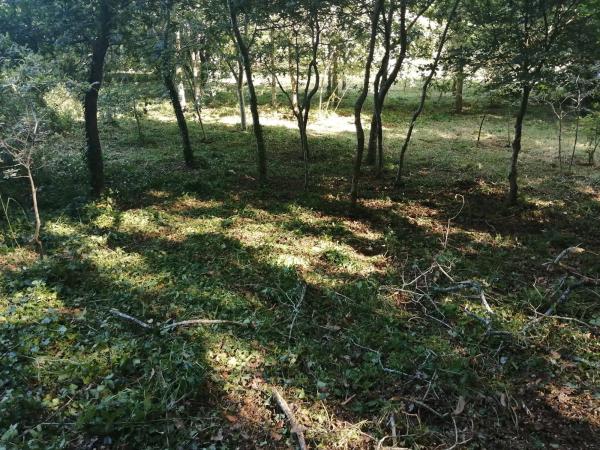 Terreno en Marin s/n