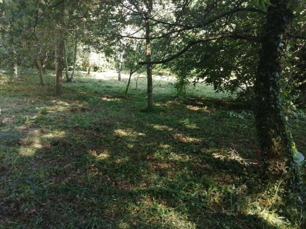 Terreno en Marin s/n