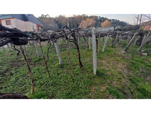 Terreno en Lugar Xalde