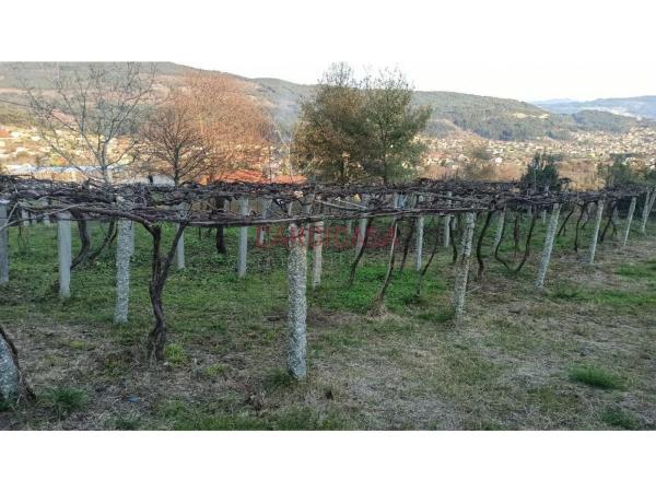 Terreno en Lugar Xalde