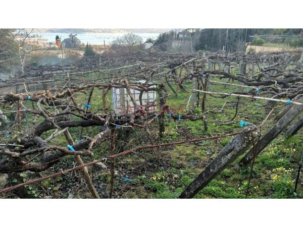 Terreno en Lugar Xalde