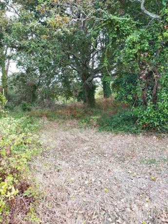 Terreno en calle dos Carballos, 20