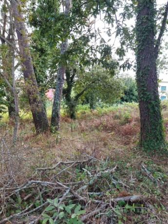Terreno en calle dos Carballos, 20