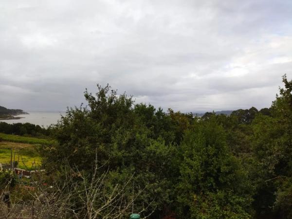 Terreno en calle dos Carballos, 20