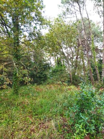 Terreno en calle dos Carballos, 20