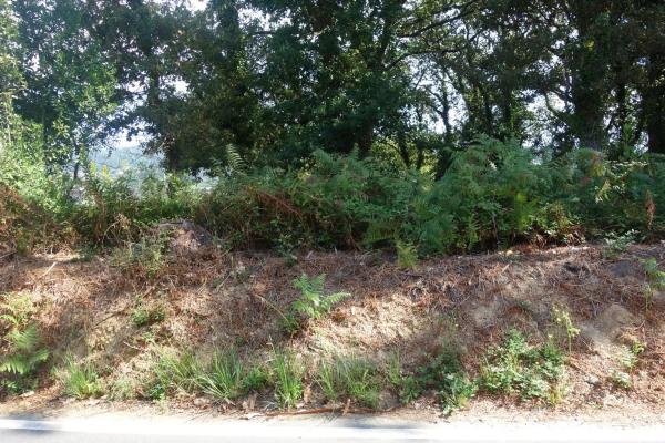 Terreno en Coiro