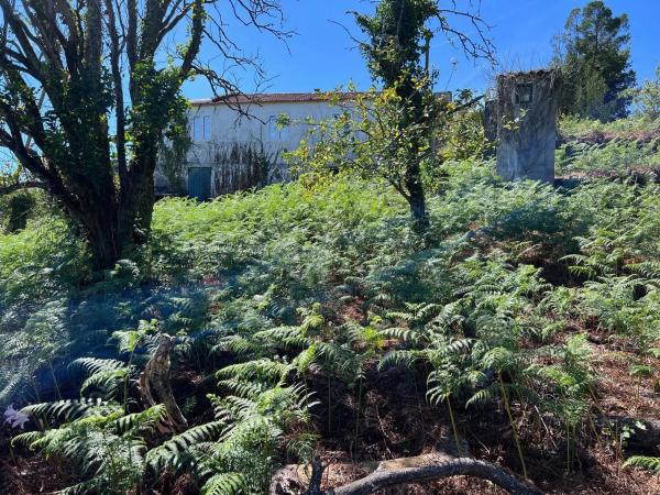 Terreno en calle Rochido s/n