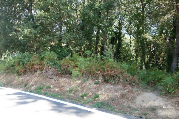 Terreno en Coiro