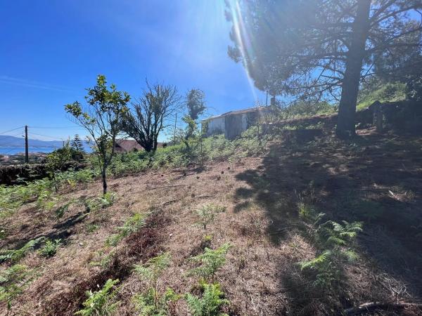 Terreno en calle Rochido s/n