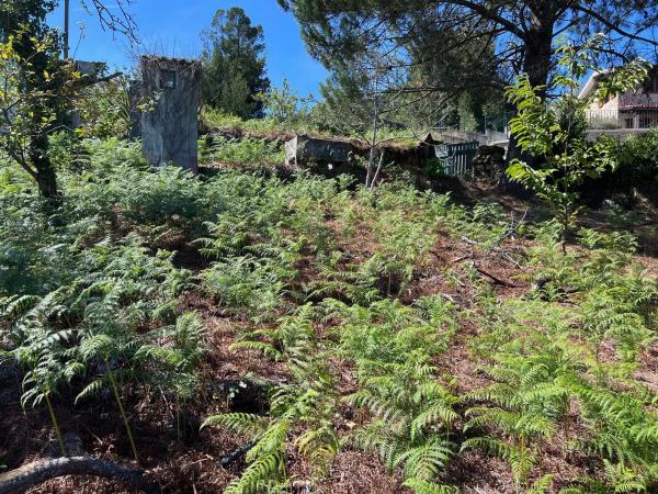 Terreno en calle Rochido s/n