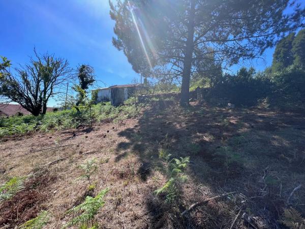 Terreno en calle Rochido s/n