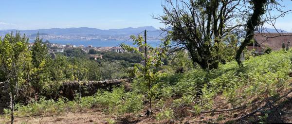 Terreno en calle Rochido s/n