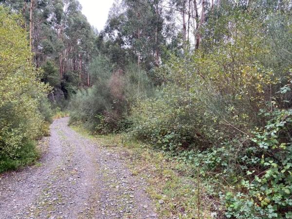 Terreno en Lugar Carballido