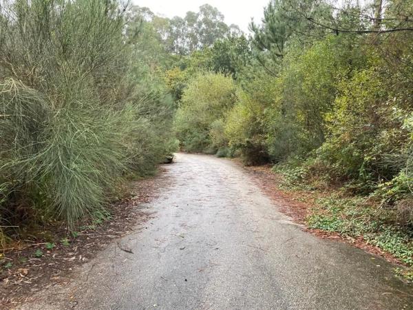Terreno en Lugar Carballido
