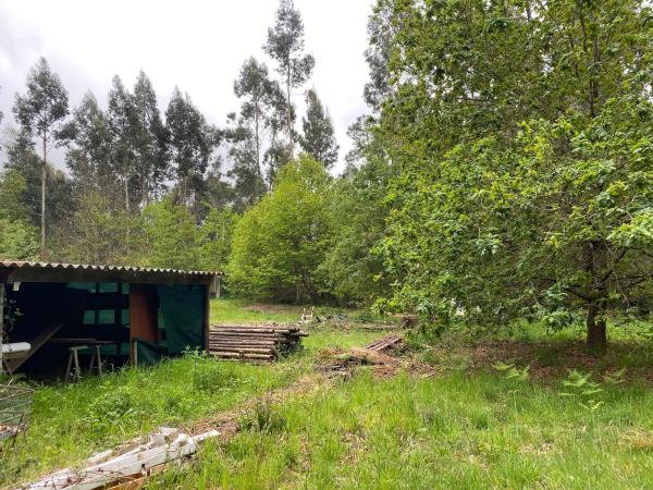 Terreno en Lugar Fixon, 25