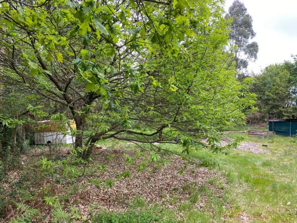 Terreno en Lugar Fixon, 25