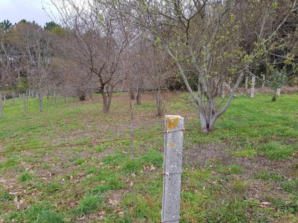 Terreno en Moaña