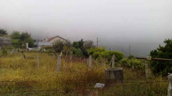 Terreno en poblado mogor, 173