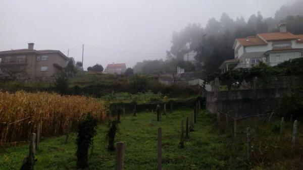 Terreno en poblado mogor, 173