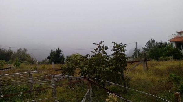 Terreno en poblado mogor, 173