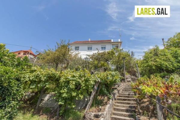 Terreno en Lugar de Piñeiro