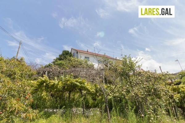 Terreno en Lugar de Piñeiro