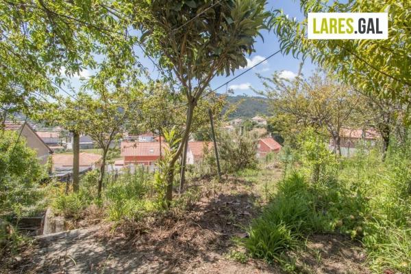 Terreno en Lugar de Piñeiro